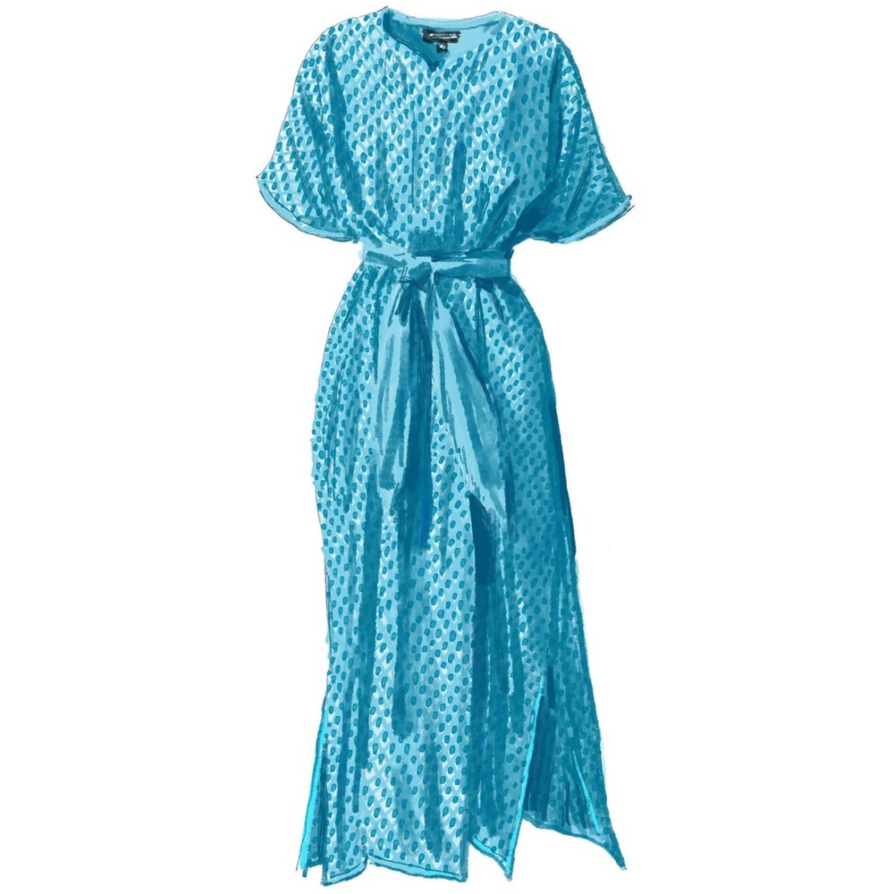 J. Peterman Blue Maxi Dress